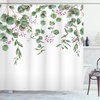 Pink Fuchsia Fern Green