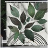 Green Dimgray Pale Grey