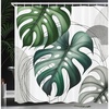 Pale Grey Fern Green