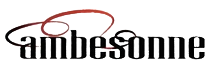 Ambesonne Discount Store