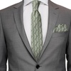 image:imageAmbesonne Mens Tie SetSage Green and White