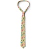 image:imageAmbesonne Multicolor Modern Mens TieMulticolor Cream