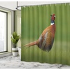 image:imageAmbesonne Flower Shower Curtain Blooming Orchid Spring Bouquet Romance Wedding Themed Natural Beauties Fragrance Cloth Fabric Bathroom Decor Set with Hooks 69 W x 84 L Off White Reseda GreenGinger Chocolate and Red