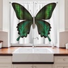 image:imageAmbesonne Sloth Kitchen Curtains Cartoon Character Sleeping on Branch Jungle Animal in Night Sky Theme Window Drapes 2 Panel Set for Kitchen Cafe Decor 55 x 39 Plum Brown GreenOlive Green