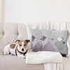 image:imageAmbesonne Abstract Throw Decorative Pillow Cover Home amp Living Room Geometric Composition Colorful Striped Dotted Rhombus Decorative Square Accent Cushion Pillow Case 20 X 20 Purple White GreyPurple White Grey