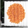 image:imageAmbesonne Birds Shower Curtain Cheerful Happy Birds Singing on Lively Tree Branches with Colorful Spring Leaves Cloth Fabric Bathroom Decor Set with Hooks 69 W x 70 L Eggshell MulticolorApricot Orange