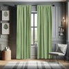 image:imageAmbesonne Garden Art Curtains Botanical Pattern Echinacea Flowers Stems and Leaves Gardening Plants Window Treatments 2 Panel Set for Living Room Bedroom Pair of  28 x 84 RosePale Green