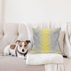 image:imageAmbesonne Grey and Yellow Throw Pillow Cushion Cover Abstract Grunge Style Brushstrokes Painting Style Decorative Square Accent Pillow Case 20 X 20 White CharcoalYellow Grey