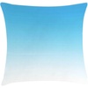 Pale Blue