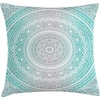 image:imageAmbesonne Animal Throw Pillow Cushion Cover Flamingos Print of Long Leged Love Birds Feathers Romance Brushstroke Splash Watercolor Decorative Square Accent Pillow Case 18 X 18 Pink Blue PurpleAqua Grey