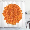 Apricot Orange