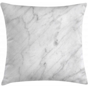 image:imageAmbesonne Retro Throw Pillow Cushion Cover Fashion Woman with Dandelion Flower Spring Wind Garden Sketchy Illustration Decorative Square Accent Pillow Case 16 X 16 Warm Taupe and BlueWhite and Pale Sage Green