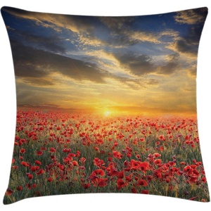 image:imageAmbesonne Teen Room Throw Pillow Cushion Cover Professional Basketball Arena Stadium Before The Game Championship Sports Image Decorative Square Accent Pillow Case 16 X 16 BrownVermilion