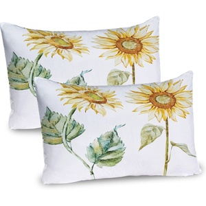 image:imageAmbesonne Watercolor Pillow Sham Multicolored Hand Drawn World Map Asia Europe Africa America Geography Print Decorative Standard King Size Printed Pillowcase 36 X 20 Gray PurpleYellow Green