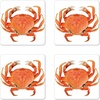 Orange White