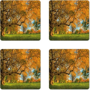 image:imageAmbesonne Savannah Coaster Set of 4 White Tiger Wintertime Animal Portrait Eyes Calm Noble Beast Photography Square Hardboard Gloss Coasters Standard Size White and BlackGreen Brown