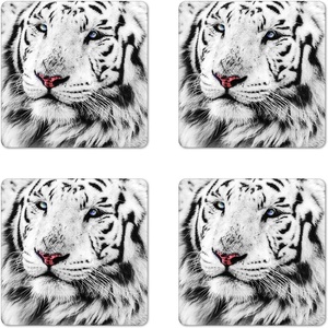 image:imageAmbesonne Savannah Coaster Set of 4 White Tiger Wintertime Animal Portrait Eyes Calm Noble Beast Photography Square Hardboard Gloss Coasters Standard Size White and BlackWhite and Black