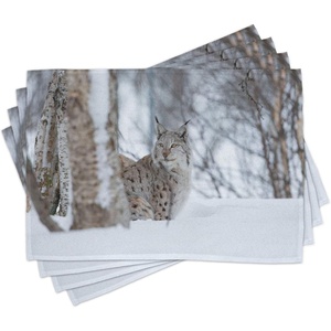 image:imageAmbesonne Animal Place Mats Set of 4 European Lynx Snowy Cold Forest Norway Nordic Country Wildlife Apex Predator Washable Fabric Placemats for Dining Table Standard Size Brown White
