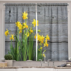 image:imageAmbesonne Teal Animal Kitchen Curtains Cartoon Like Elephant with Big Ears and Trunk in Cartoon Style Print Window Drapes 2 Panel Set for Kitchen Cafe Decor 55 x 39 Pale Blue and TealYellow Grey