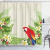 Cream Green Red