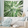 image:imageAmbesonne Forest Tapestry Tropical Rain Forest Tall Trees in Exotic Style Nature Theme Image Sky from Woodland Wide Wall Hanging for Bedroom Living Room Dorm 80 X 60 GreenGreen
