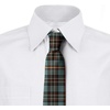 image:imageAmbesonne Multicolor Modern Mens TieRedwood Blue