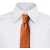 image:imageAmbesonne Multicolor Modern Mens TieVermilion Mustard