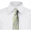 image:imageAmbesonne Multicolor Modern Mens TieWhite Apple