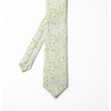 image:imageAmbesonne Multicolor Modern Mens TieWhite Apple