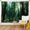 image:imageAmbesonne Winery Tapestry Sunset over the Vineyards of the South of France Sunbeams Cloudscape Picture Wide Wall Hanging for Bedroom Living Room Dorm 80 x 60 Yellow GreenForest Green Pale Yellow