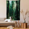 image:imageAmbesonne Winery Tapestry Sunset over the Vineyards of the South of France Sunbeams Cloudscape Picture Wide Wall Hanging for Bedroom Living Room Dorm 80 x 60 Yellow GreenForest Green Pale Yellow