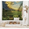 image:imageAmbesonne Winery Tapestry Sunset over the Vineyards of the South of France Sunbeams Cloudscape Picture Wide Wall Hanging for Bedroom Living Room Dorm 80 x 60 Yellow GreenYellow Green