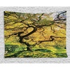 image:imageAmbesonne Japanese Tapestry Shadows of a Large Maple by The River with Sun Rays in The Fall Season of Natural Landscape Theme Wide Wall Hanging for Bedroom Living Room Dorm 80 X 60 Yellow Green