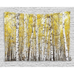 image:imageAmbesonne Forest Tapestry Autumn Birch Forest Golden Yellow Leaves Woodland October Seasonal Nature Picture Wide Wall Hanging for Bedroom Living Room Dorm 60 X 40 Yellow Grey