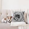 image:imageAmbesonne Flower Throw Pillow Cushion Cover Retro Romantic Rose Petal with Rain Water Drops Valentines Love Picture Decorative Square Accent Pillow Case 18 X 18 White and BlackWhite and Black