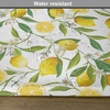 image:imageAmbesonne Nature Place Mats Set of 4 Exotic Lemon Tree Branches Yummy Delicious Kitchen Gardening Design Washable Fabric Placemats for Dining Table Standard Size Fern Green