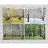 image:imageAmbesonne Landscape Tapestry Pathway in Woodland Birch Tree Jungle in the Fall Winter Spring Summer Season Wide Wall Hanging for Bedroom Living Room Dorm 80 X 60 Green and White