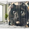 image:imageAmbesonne Cat Shower Curtain Rich Queen Kitty Character on Money Boss Lady Animal Funny Cartoon Cloth Fabric Bathroom Decor Set with Hooks 69 W x 70 L Cream Hunter Green and OrangeCharcoal Grey