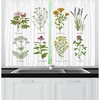 Multicolor Green Lilac
