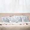 image:imageAmbesonne Celtic Decorative Throw Pillow Case Pack of 4 Aqua Celtic Style Twisted Crossed Repeating Circle and Bent Line Webs Print Cushion Cover for Couch Living Room Car 16 Teal WhiteBlue White