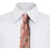image:imageAmbesonne Multicolor Modern Mens TieCoral