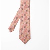 image:imageAmbesonne Multicolor Modern Mens TieCoral