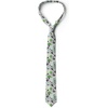 image:imageAmbesonne Multicolor Modern Mens TieGreen Dark Grey