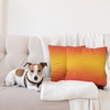 image:imageAmbesonne Ombre Pillow Cushion Cover Pack of 2 Tropical Sunset Seasons of The Year Inspired Summer Themed Design Modern Decorative Square Accent Pillow Case 2 Pcs20 x 20 Orange Yellow